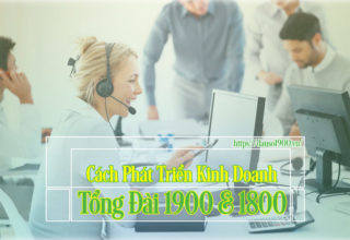 Cần Xây Dựng Doanh Nghiệp Như Thế Nào Để Có Thể Phát Triển Kinh Doanh Tổng Đài 1900 Và Tổng Đài 1800?