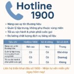Hotline 1900 – Bí quyết nâng cấp thương hiệu của doanh nghiệp thời đại số.