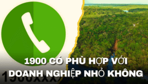 1900 có phù hợp với doanh nghiệp nhỏ không
