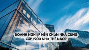 Doanh nghiệp nên chọn nhà cung cấp 1900 như thế nào