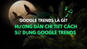 Google Trends là gì Hướng dẫn chi tiết cách sử dụng Google Trends