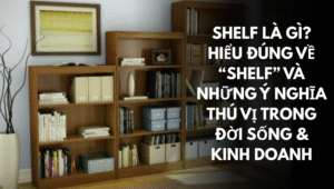 Shelf là gì Hiểu đúng về “shelf” và những ý nghĩa thú vị trong đời sống & kinh doanh