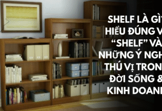 Shelf là gì Hiểu đúng về “shelf” và những ý nghĩa thú vị trong đời sống & kinh doanh