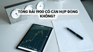 Tổng đài 1900 có cần hợp đồng không 