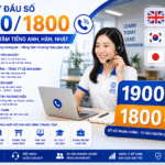 Đăng ký đầu số 1900/1800 cho trung tâm tiếng Anh, Hàn, Nhật