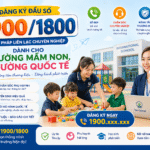Đăng ký đầu số 1900/1800 cho trường mầm non, trường quốc tế